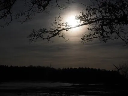 Moon Harp - 2. The Moon, She Sings