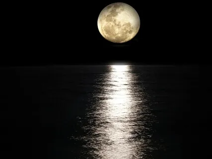 Moon Knot (234.16Hz)