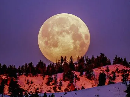 Moon Landing Sleep Story With Theta Waves For Deep Sleep