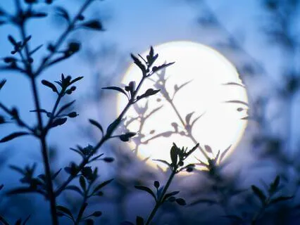 Moon Meditation: Shamanic Serenity