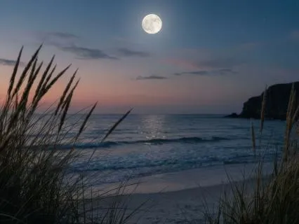 Sleep & Meditation Music: Moon Song (Pads & Piano)
