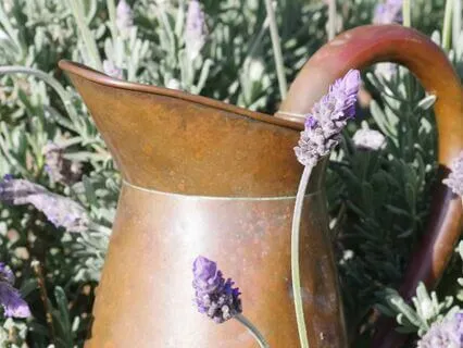 Moon Transit Through Aquarius