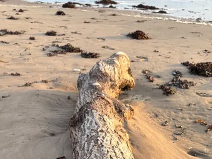 Moon Transit Through Libra