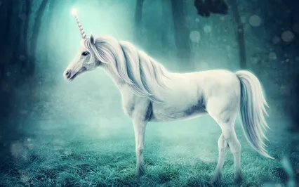 Moonbow Forest #11 - Children's Sleep Story