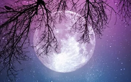 Moonbow Forest #15 - Children's Bedtime Story