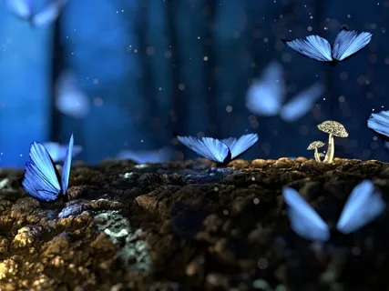 Moonbow Unicorn Forest 2