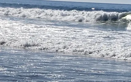 Moonlight Beach Splendor