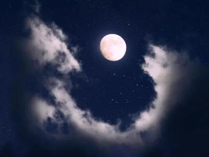 Moonlight Expands Awareness