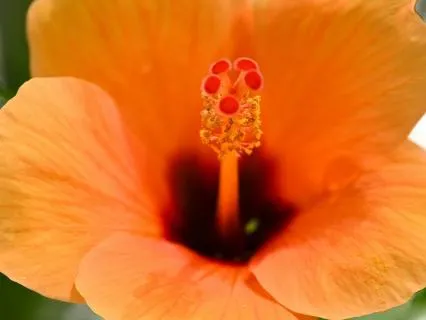 Moonlight Flute - Music for Focus And Relaxation