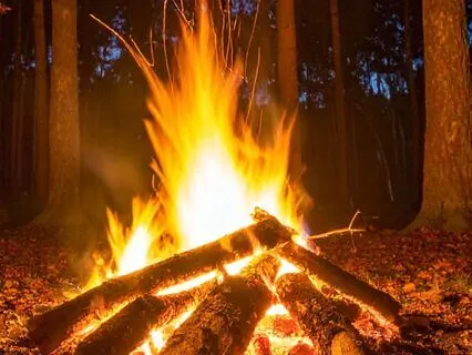 Moonlight Forest Spellwork Ambience