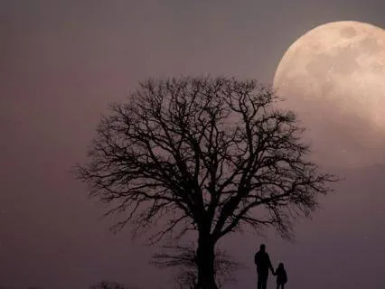 Moonlight Inner Peace