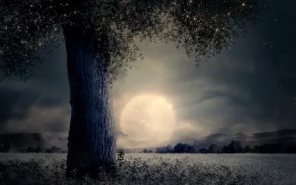 Moonlight Mantra Blessings - A Guided Practice