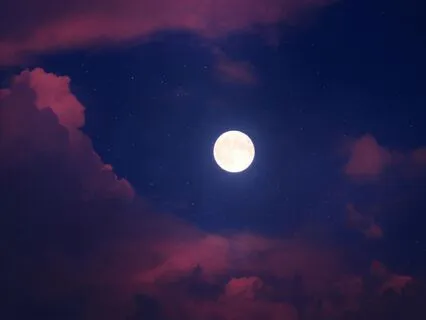 Moonlight Never Leaves