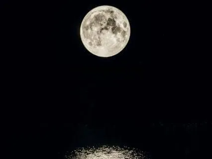 Moonlight Reflections