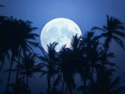 Moonlight Serenity: Stress-Free Nights