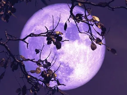 Moonlight Slumber Sleep Meditation