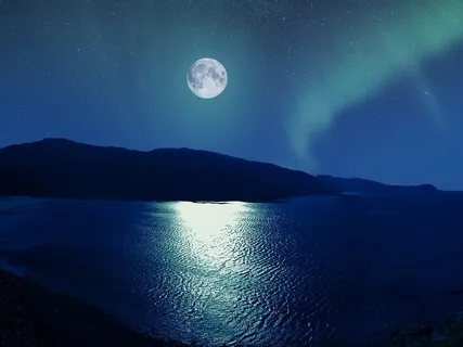 Moonlight Sonata Mvt.1 - Beethoven