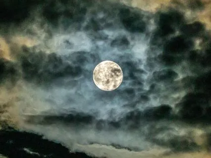 Moonlight Wings — Journey With The Luna Moth