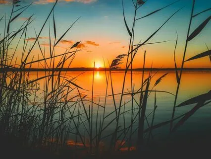 Moonlit Calm: Drift Away From Stress