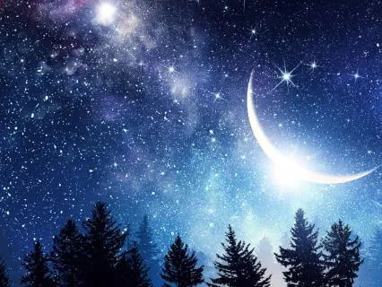 Moonlit Dreams – Peaceful Sleep Journey