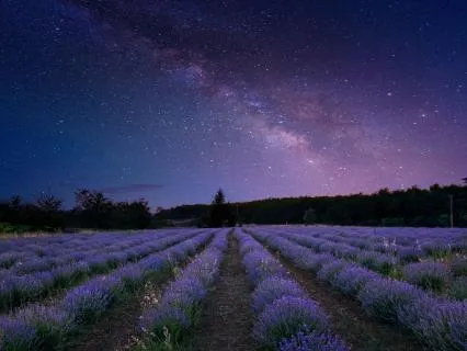 Moonlit Dreams – Sleep Music For Children