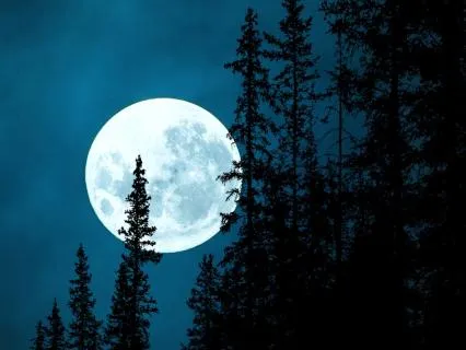 Moonlit Drift: A Poem For Deep, Gentle Sleep