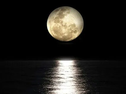 Moonlit Drift - Long Sleep Soundscape