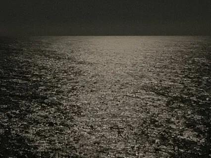 Moonlit Evening Song Of Australian Native Frogs