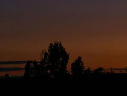 Moonlit Fields Bedtime Stories
