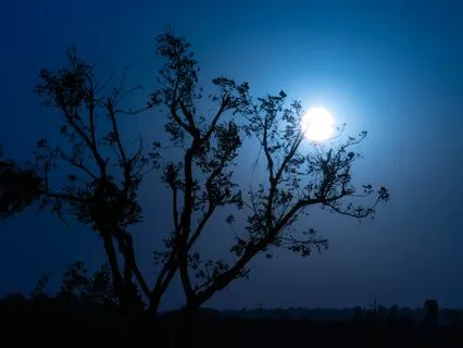 Moonlit Meditation: Mindful Sleep Music