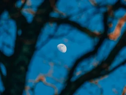 Moonlit Meditations: Shamanic Sounds for Tranquility