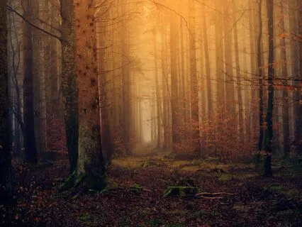 Moonlit Mindfulness: Connecting With Lunar Energy