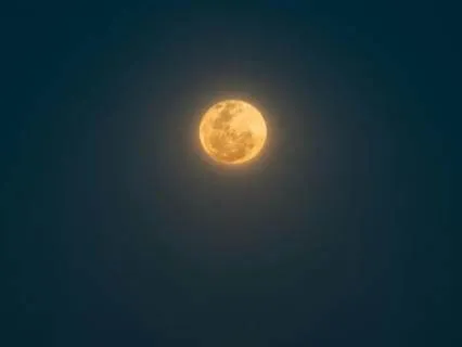 Moonlit Sleep Journey