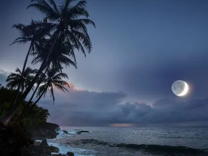 Moonlit Slumber: Peaceful Night Melodies