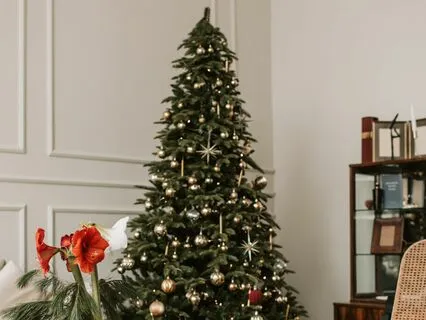 Moonlit Tranquility - Restorative Meditation Sounds