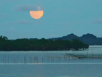 Moonlit Waters: A Bedtime Story