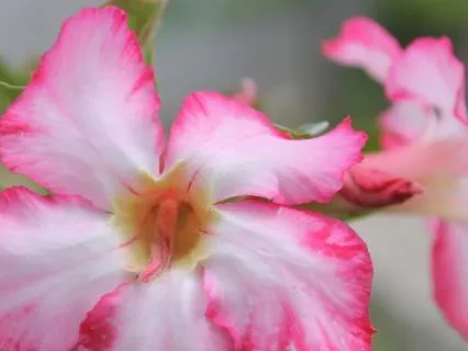 Moonlit Whisper – A Journey To Yourself