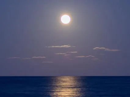 Moonpath Drift Toward Calm