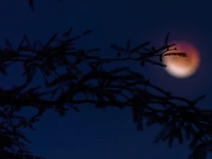 Moonrise Rhapsody (Extended)