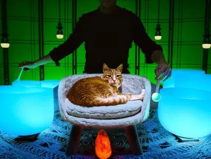 **More ADHD Sleep Music**