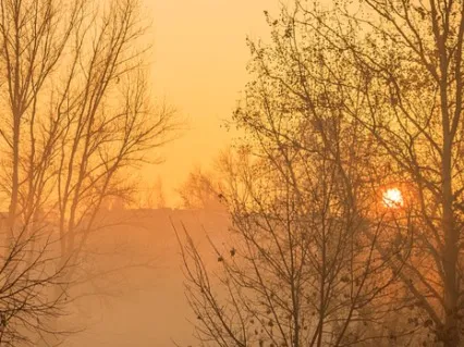 More Enchanted Journeys: Finding Avalon