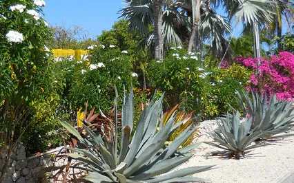 More On Death, More Stories & More On Religion 