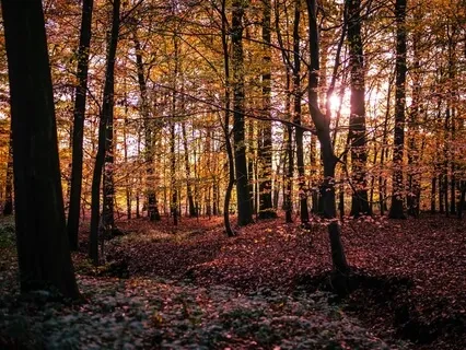 More Self-Love Energetic Activation