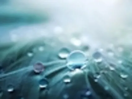 Sounds Of A Gully: Extended Version