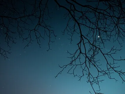 More Than Sleep Relaxation 