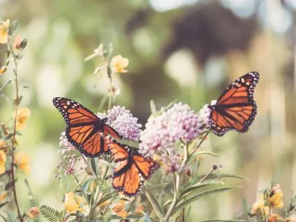 More Than You Know | Song Medley