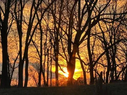 More Together Than Alone