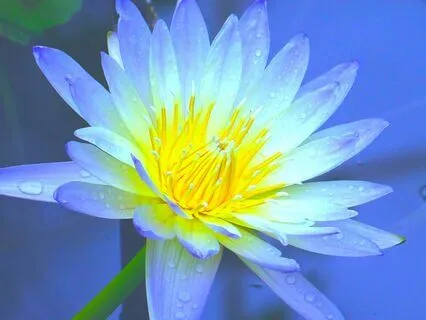 More Words Of Encouragement (2 No Music)