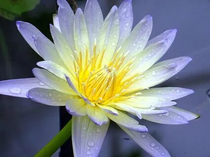 More Words Of Encouragment (2 With Music)