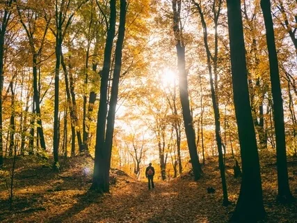 Morgenmeditation 30 Minute